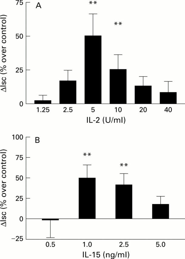 Figure 2  