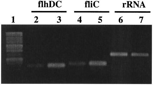 FIG. 5.