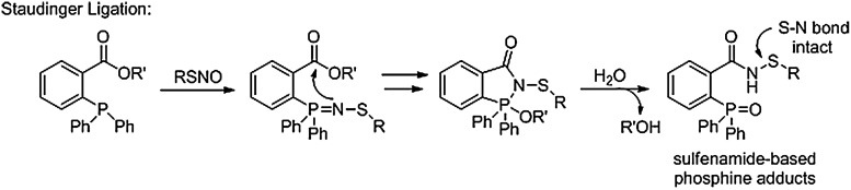 FIG. 13.