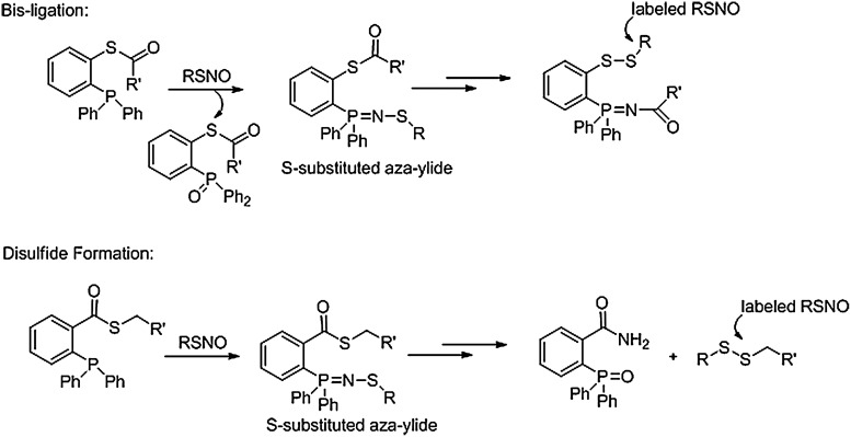 FIG. 14.