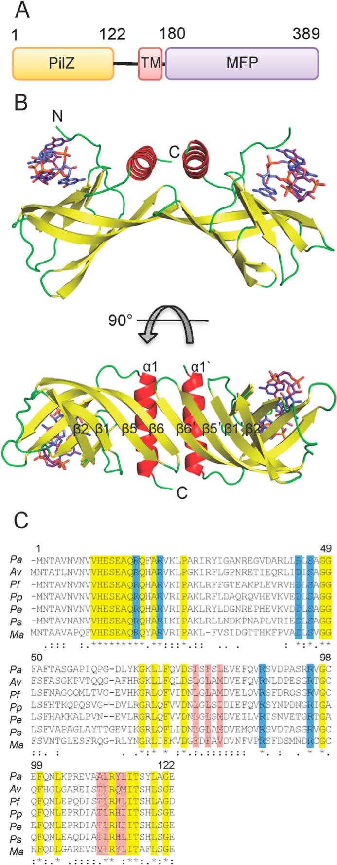 FIGURE 1.