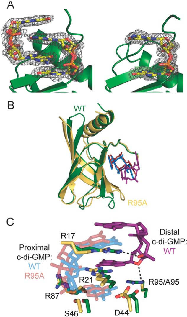 FIGURE 6.