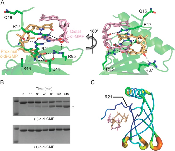 FIGURE 3.