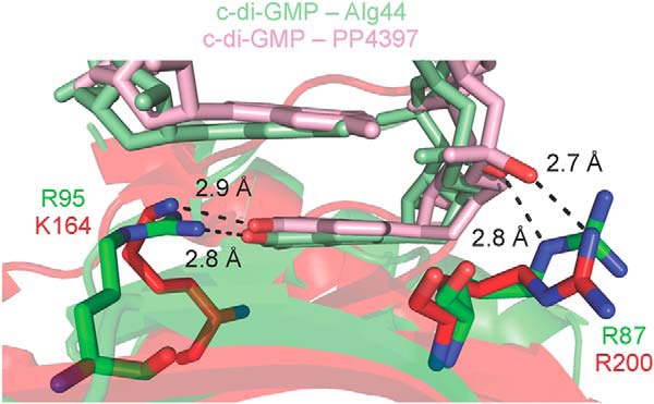 FIGURE 4.