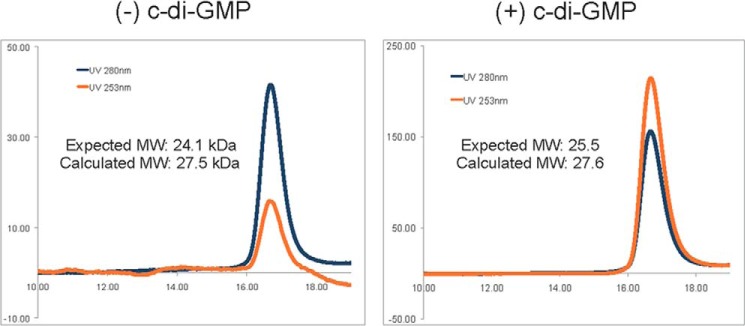 FIGURE 2.