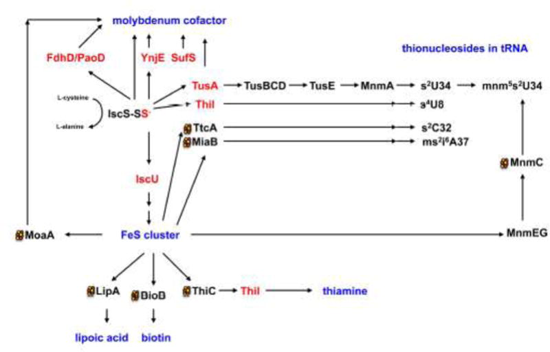 Figure 5