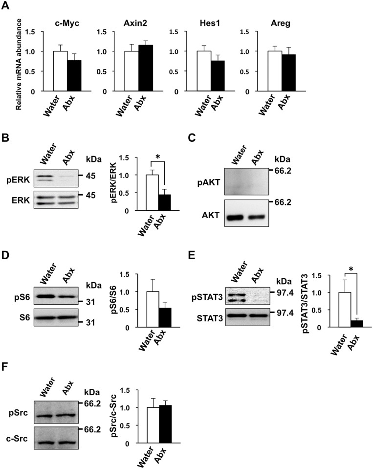 Fig 7