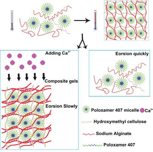 Scheme 1: Proposed schematic illustration for possible embolization mechanisms of PSHI-Ca2+ thermo-sensitive composite hydrogels.