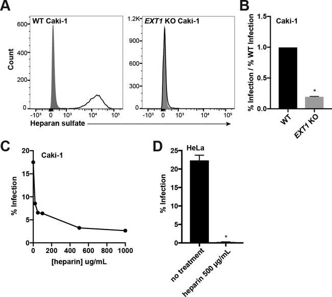 FIG 2