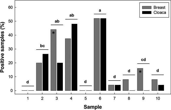 FIG 6