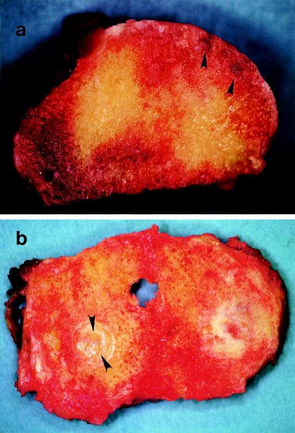 Figure 3  