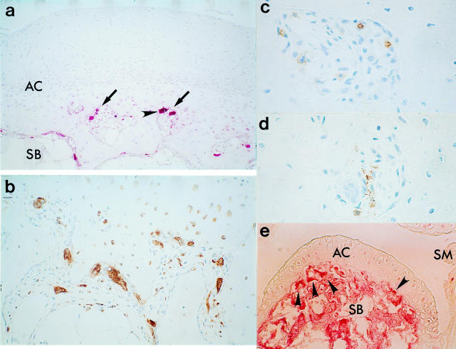 Figure 2  