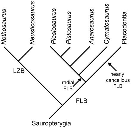 Figure 17