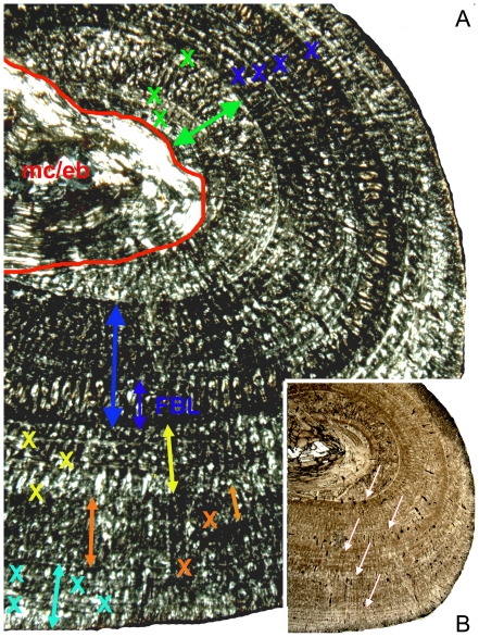 Figure 15