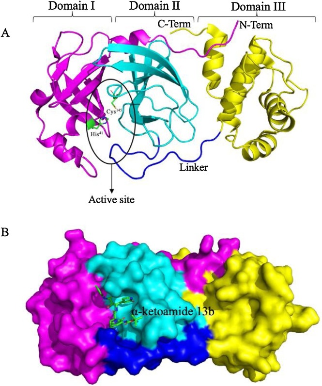 Fig. 1