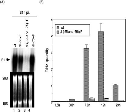 FIG. 5.