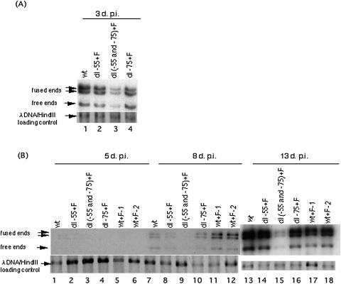 FIG. 6.