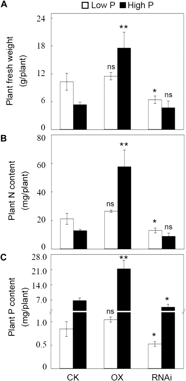 Figure 5.