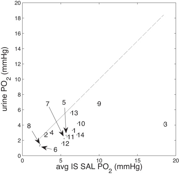 Fig. 8.