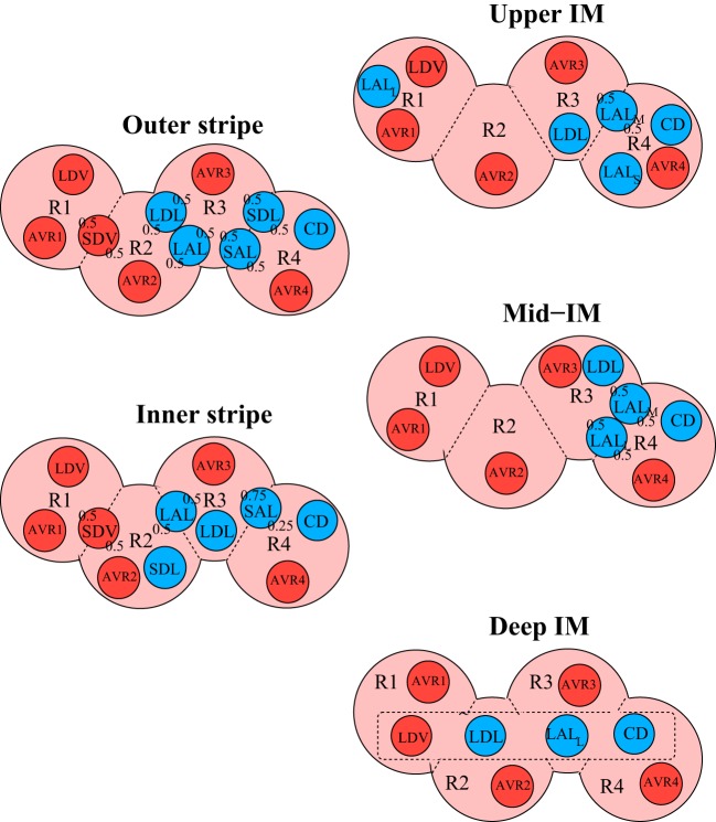 Fig. 1.