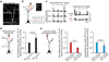 Extended Data Figure 4