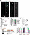 Extended Data Figure 1