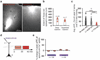 Extended Data Figure 9