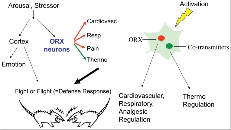Figure 10.