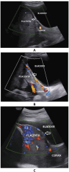 Fig. 3