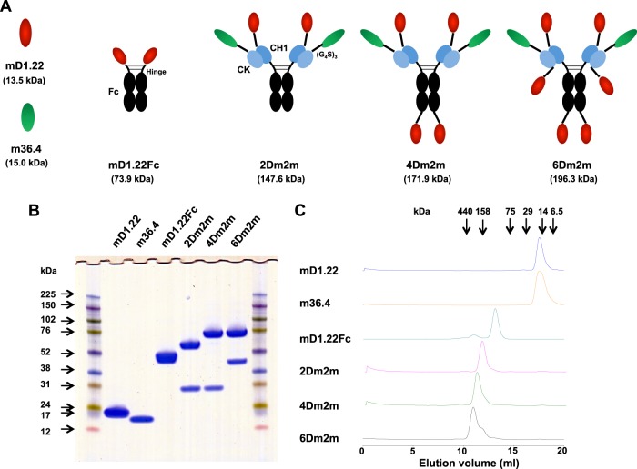 FIG 6