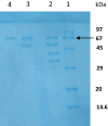Fig. 2