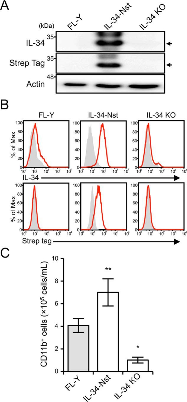 Figure 3.