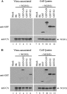 Fig. 5