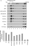 Fig. 6