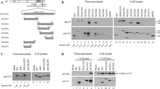 Fig. 4