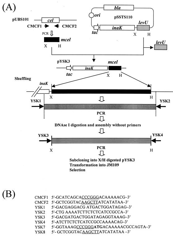 FIG. 1