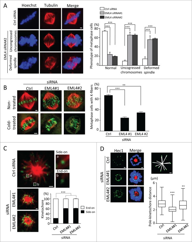 Figure 2 (See previous page).