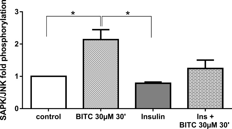 Fig 20