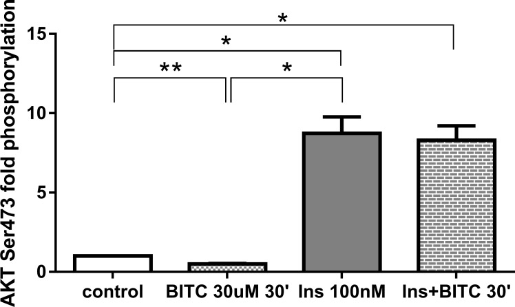 Fig 17