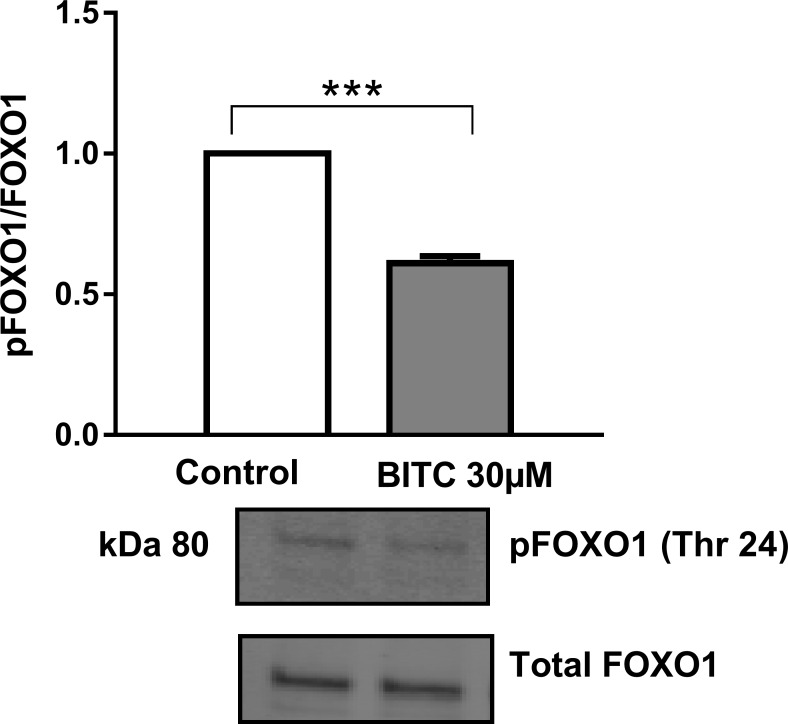 Fig 18