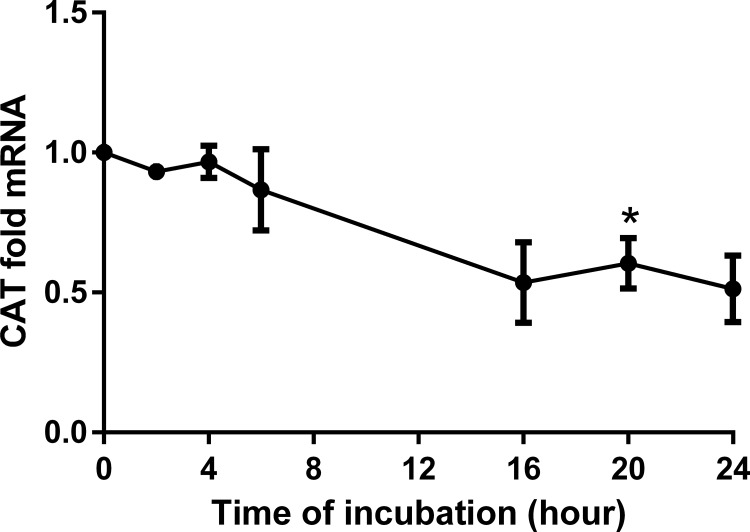 Fig 12