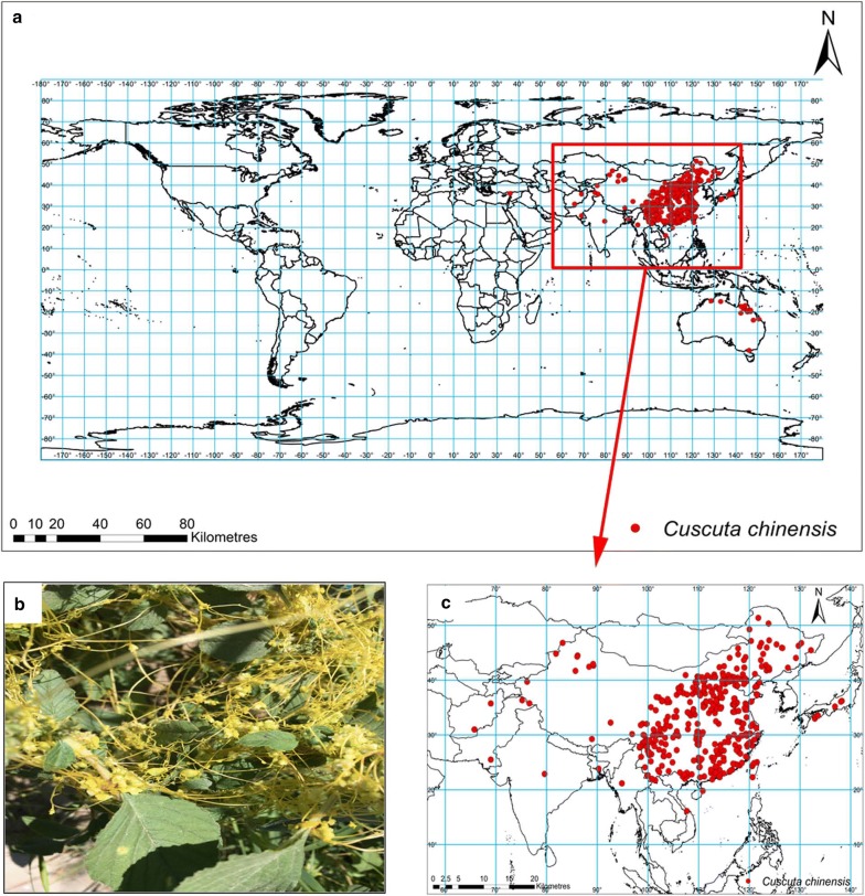 Fig. 1