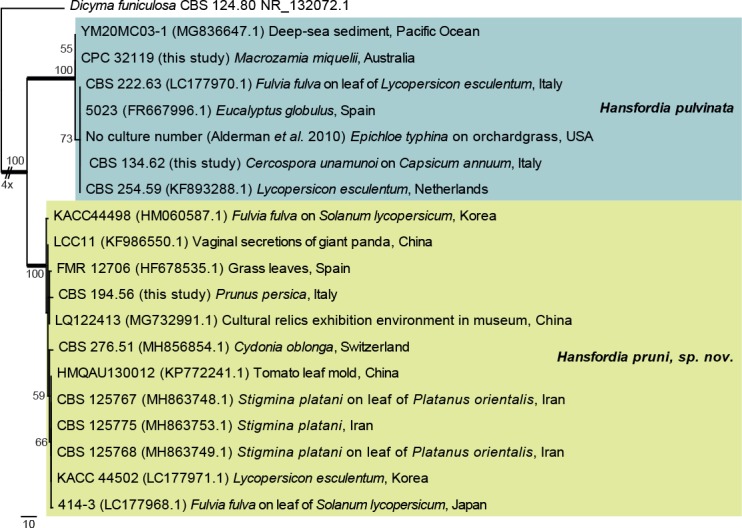 Fig. 21.