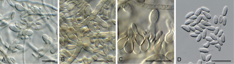 Fig. 13.