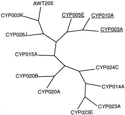 FIG. 5