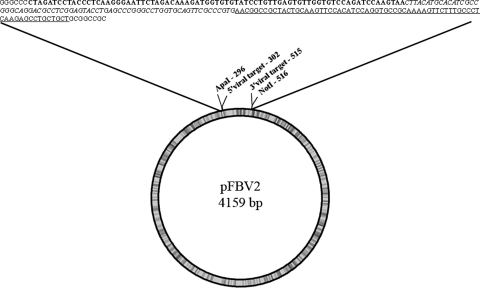 Fig. 2