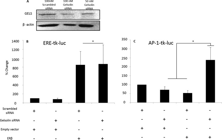 Fig. 12.