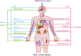 <b>FIG. 7.</b>