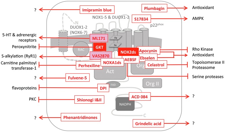 FIG. 2.