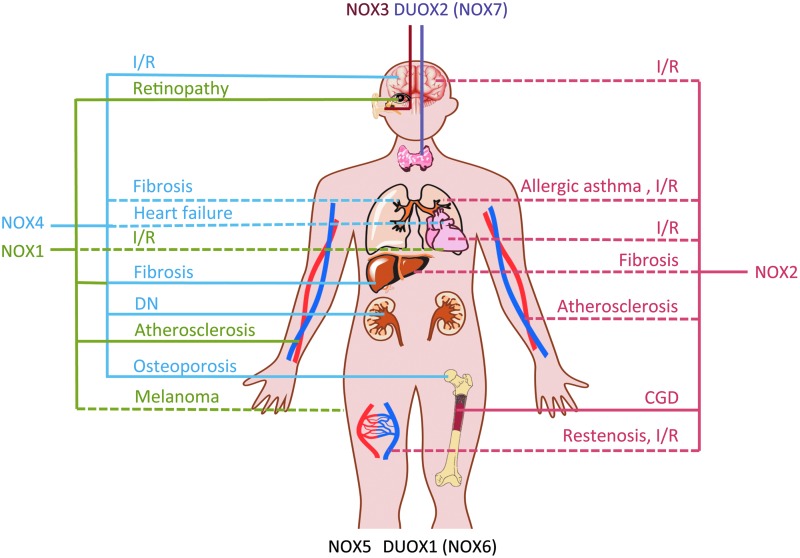 FIG. 7.